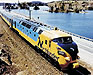 lsm18001 copy.jpg